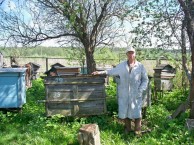Ziarul zorii de ce apicultorii trăiesc mult timp